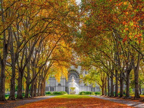 Melbourne Autumn - Art Lovers Australia