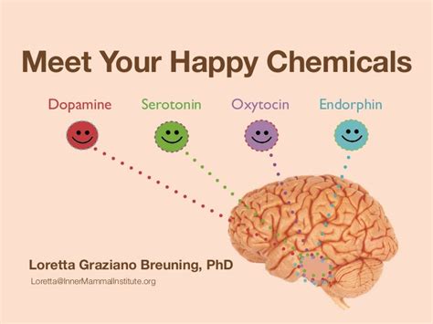 Meet Your Happy Chemicals Dopamine Serotonin Endorphin Oxytocin