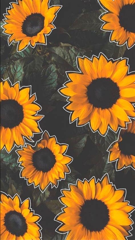 Sunflower Iphone Wallpaper Wallpaper Iphone Disney Flower Phone