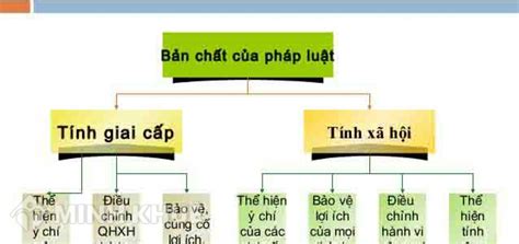 Ý chí của giai cấp thống trị là gì Khám phá bí mật quyền lực và ảnh