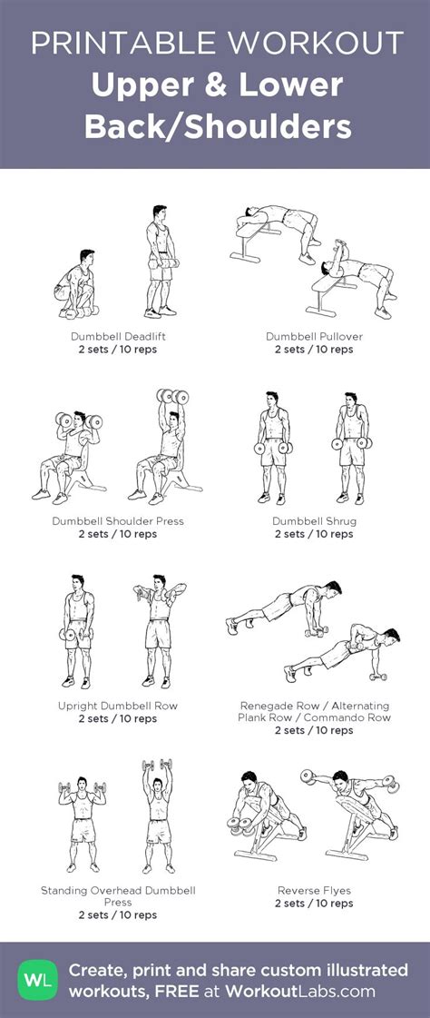 Upper And Lower Backshoulders Back And Shoulder Workout Printable