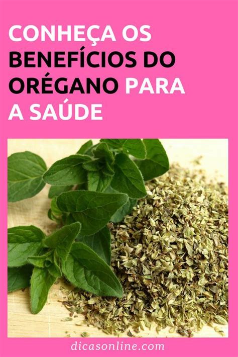 O orégano é uma erva aromática muito utilizada como tempero na cozinha