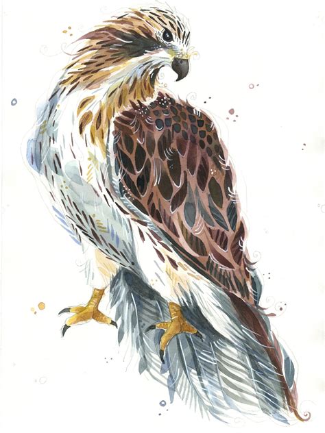 Watercolor Hawk At PaintingValley Explore Collection Of