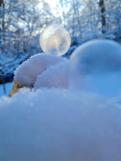 Soap Bubbles Frozen Frost Ice Free Photo On Pixabay Pixabay