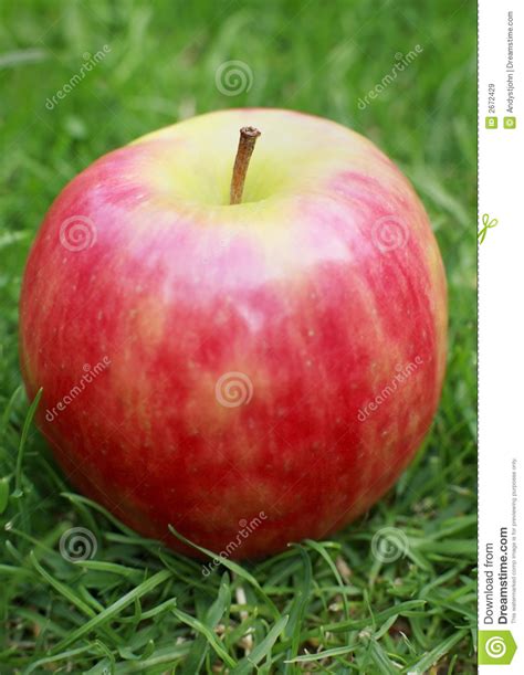 Pink Lady Apple Stock Image Image Of Health Meal Healthy 2672429