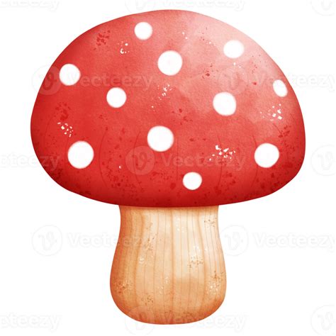 Watercolor Poisonous Mushroom 26972562 Png