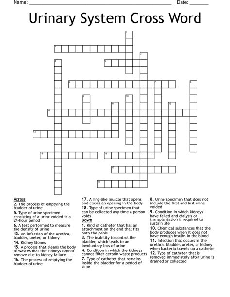 Nursing Crossword Wordmint