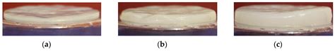 Polymers Free Full Text Use Of Bacterial Cellulose And Crosslinked