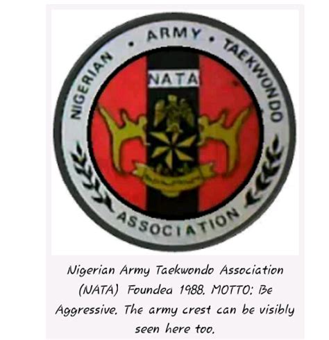 The Real Meaning Of The Nigerian Army Logo & How The Arabic Script Got ...