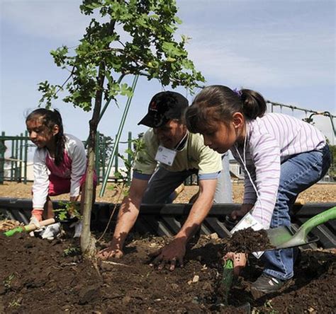 Cropped Kids Planting Tree Photo - Canopy : Canopy