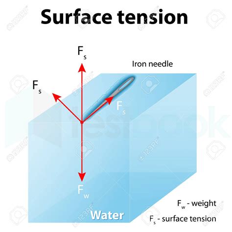 Solved An Iron Needle Floats On The Surface Of Water This Phenomen