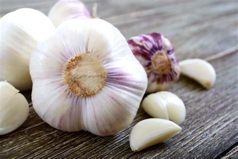 How To Grow Garlic A Comprehensive Gardener S Guide Plant A Veg