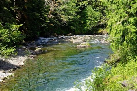 Fishing On The Olympic Peninsula Best Fishing In America