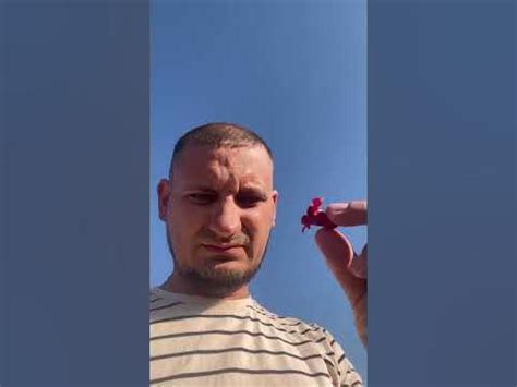 Как цветёт гранат?! - YouTube