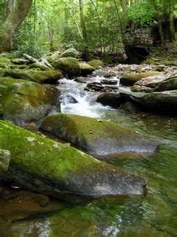 Free Images Landscape Nature Forest Outdoor Rock Waterfall