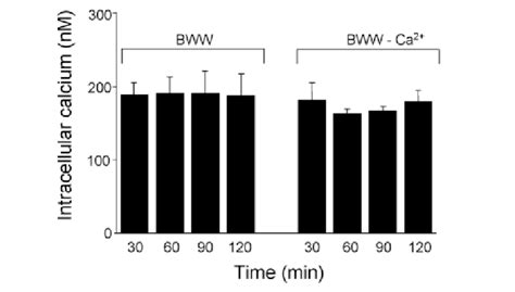 Relationship Between Intracellular And Extracellular Calcium