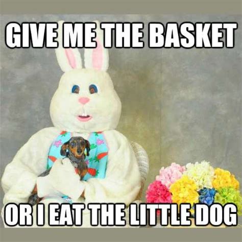 50+ Funny Easter Bunny Memes 2024 To Make Anyone Hop with Laughter