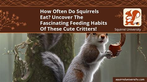 How Often Do Squirrels Eat Uncover The Fascinating Feeding Habits Of These Cute Critters