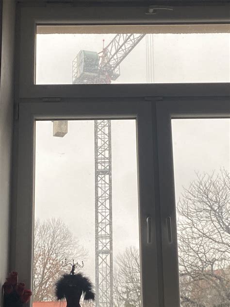 Ninaxkatrina Of On Twitter Im Pretty Sure The Crane