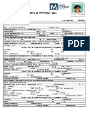 Historico Escolar Modelo Word Pdf Escolas Estado Artofit