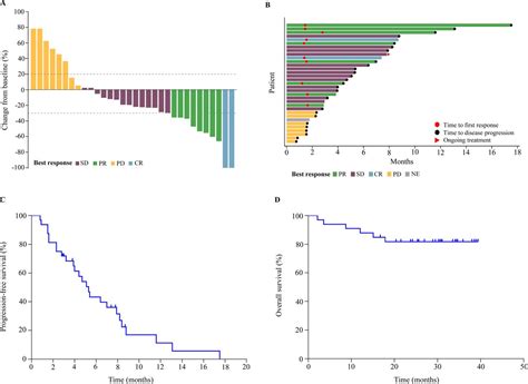 Anlotinib In Patients With Recurrent Platinum Resistant Refractory