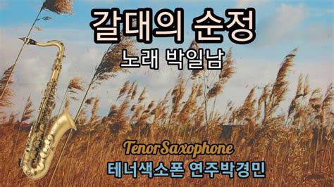 갈대의순정 박일남노래 Tenorsaxophone 테너색소폰연주 바운스동아리 Youtube