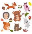 Forest animals forest animals Royalty Free Vector Image