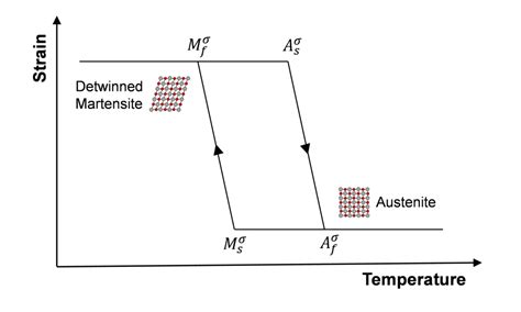 Shape Memory Alloys