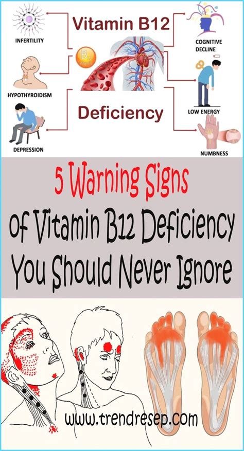 Symptoms Of Vitamin B Deficiency Care For Health Vitamin B