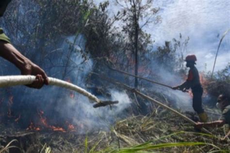 BMKG 27 Titik Panas Terpantau Di Sumatera Utara ANTARA News