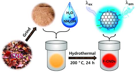 Scheme Hydrothermal Synthesis Of Functionalized Carbon Nanodots From