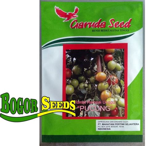 Jual Isi Gram Benih Bibit Tomat Unggul Pucung Di Lapak Bogor Seeds