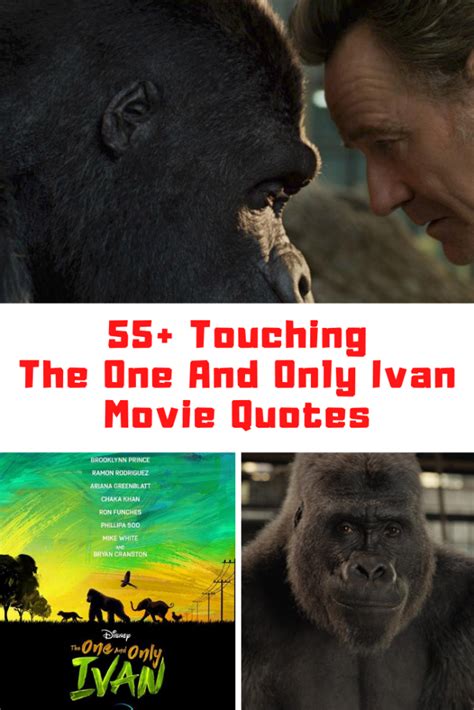 55+ Touching Disney+'s The One And Only Ivan Movie Quotes