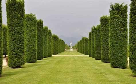 Reggia Di Venaria Cosa Vedere Prezzi Biglietti E Consigli Per La