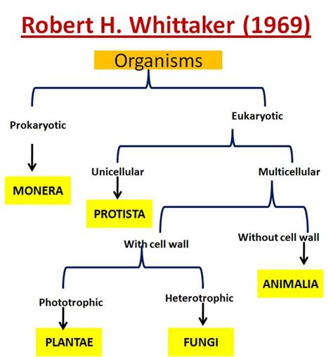 According to Whittaker's five kingdom classification, Lactobacillus ...