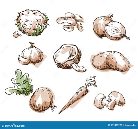 Assortment Of White Light Color Foods Fruit And Vegtables Vector