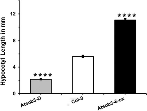 Atsob3 Regulates Hypocotyl Elongation In Arabidopsis Atsob3 D