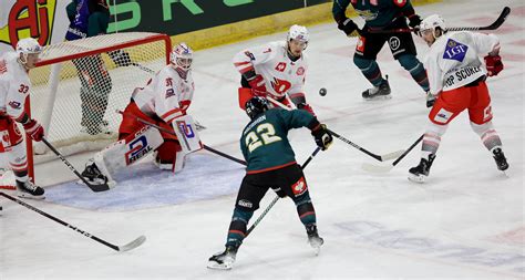 Hc Dynamo Pardubice Report Ze Z Pasu Belfast Giants Dynamo