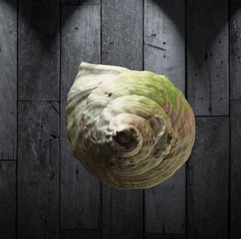 3mf File Animals Whelk From Normandy 🐚・3d Printing Model To Download