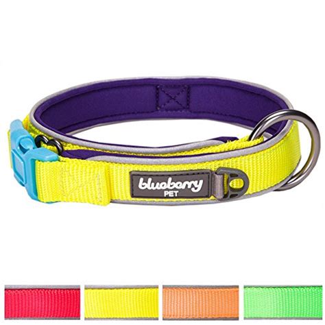 Buy Blueberry Pet 4 Colors Soft And Comfy Summer Hope 3m Reflective