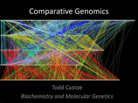 Comparative Genomics Ppt