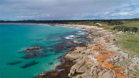 What To Do On King Island Tasmania Its More Than Cows And Coast