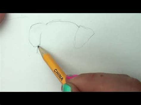 how to draw a puppy realistic