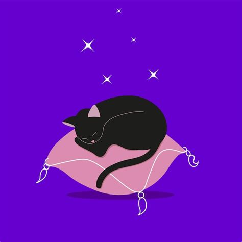 Un Lindo Gato Duerme En Una Almohada Rosa Para Mascotas El Gato Duerme