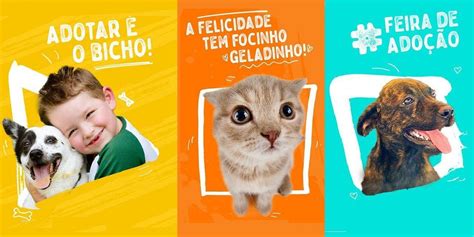 69 animais estarão disponíveis na feira de adoção em Ribeirão Preto