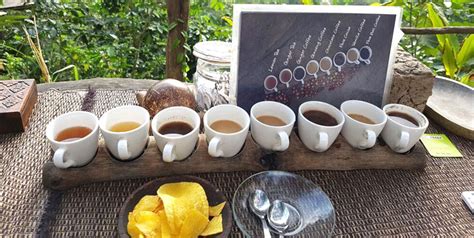 Bali Coffee Plantation | Coffee Agrotourism and Luwak Coffee