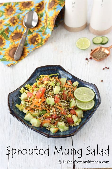 Dishesfrommykitchen Sprouted Mung Bean Salad