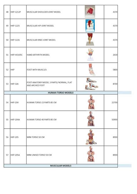 Female Internal External Genital Organs Models At Rs 2080 Human