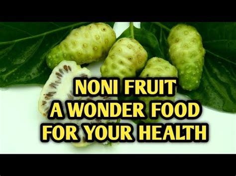 HEALTH BENEFITS OF NONI FRUIT A MAGICAL EFFECTS OF NONI FRUIT IN THE