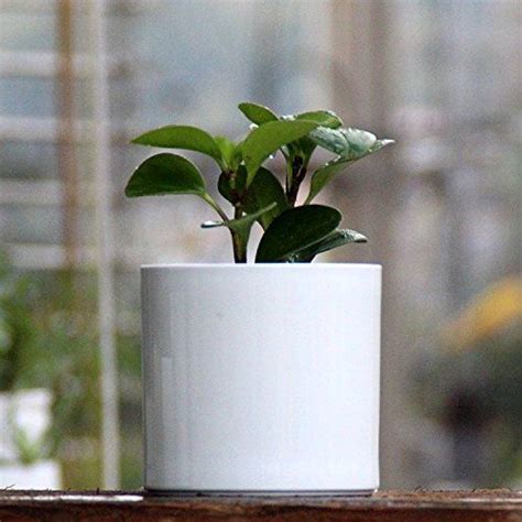 Ceramic Flower Planter Pot Round Cylinder Shape Pure White Color